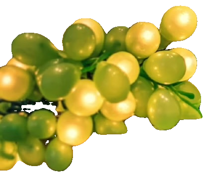 Segmented grapes